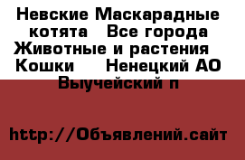 Невские Маскарадные котята - Все города Животные и растения » Кошки   . Ненецкий АО,Выучейский п.